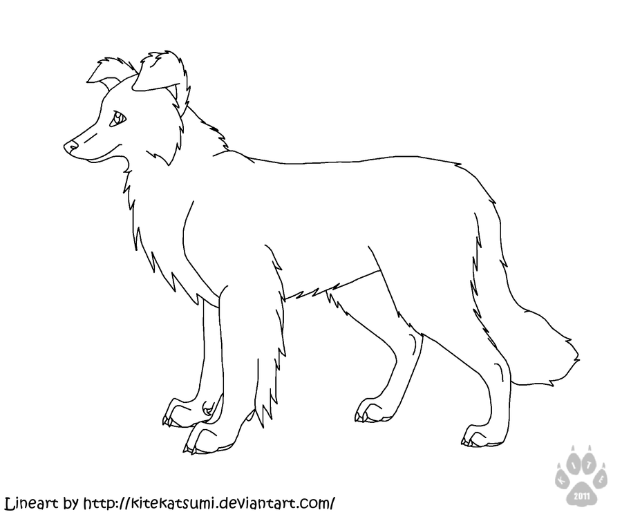 900x751 Collie Coloring Pages Print Border Collie Coloring Pages