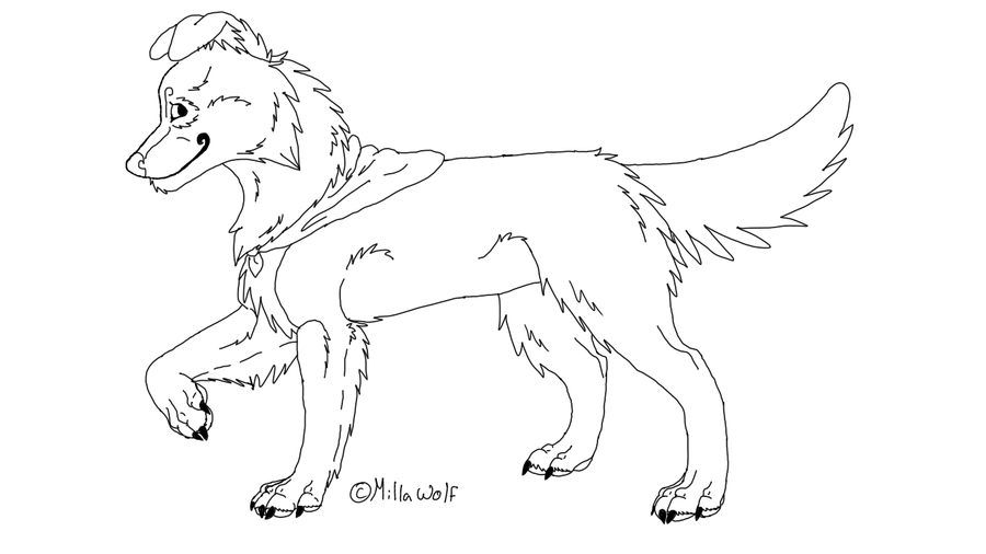 900x506 Border Collie Line Art Plus New Style By Millawolf