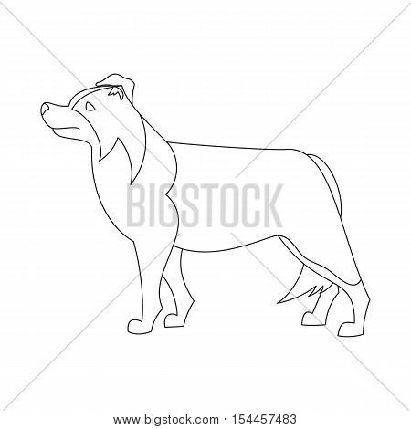 450x470 Border Collie Line Flat. Dog Vector Amp Photo Bigstock