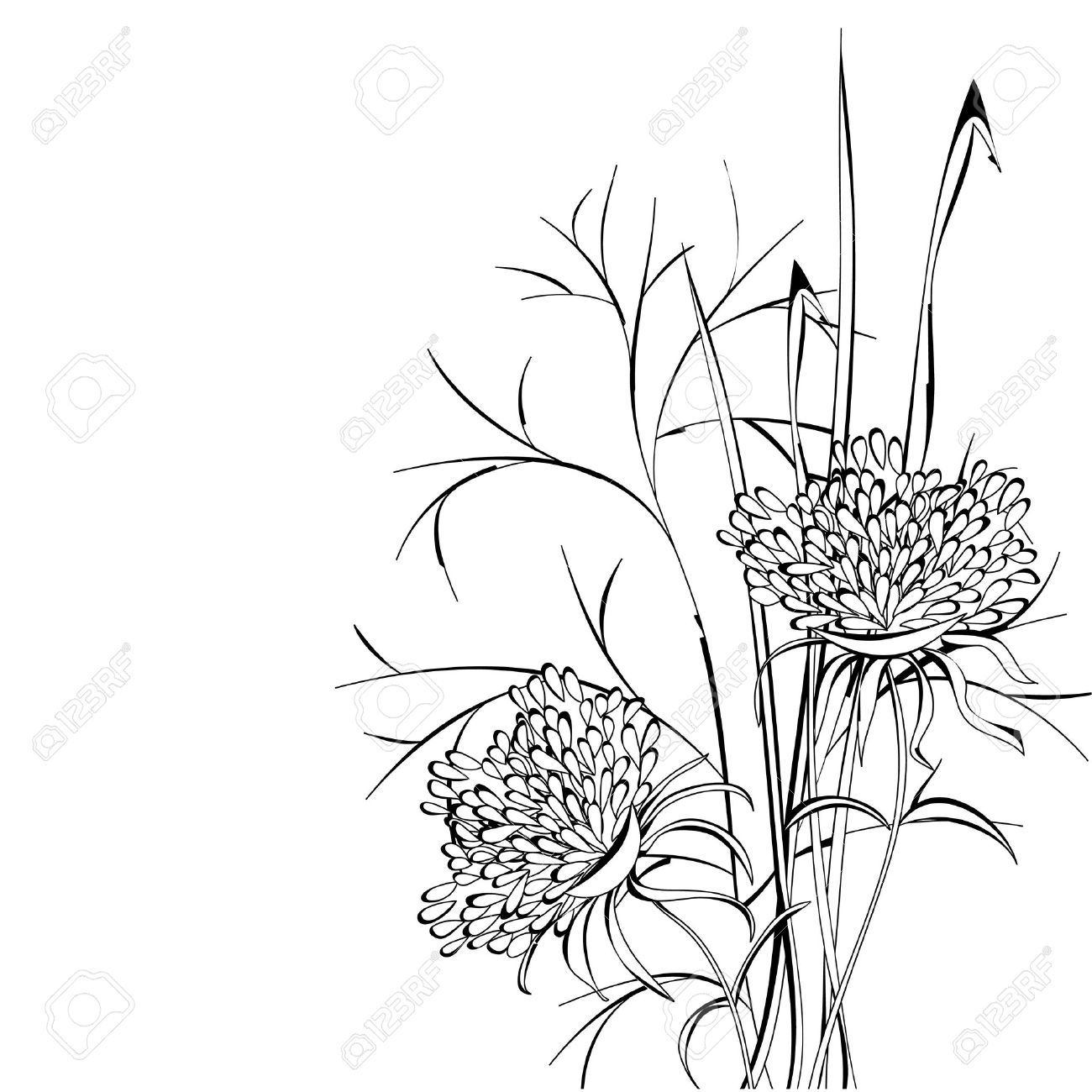 1300x1300 Drawing Flowers Border