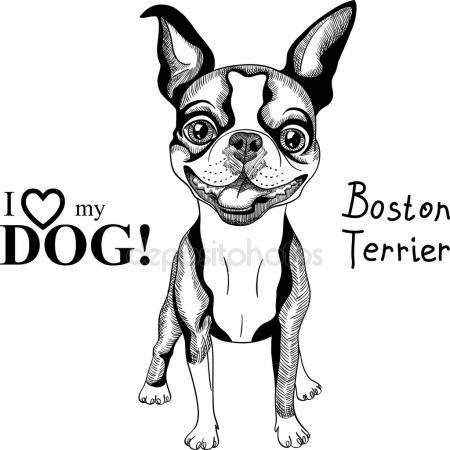 450x450 Boston Stock Vectors, Royalty Free Boston Illustrations