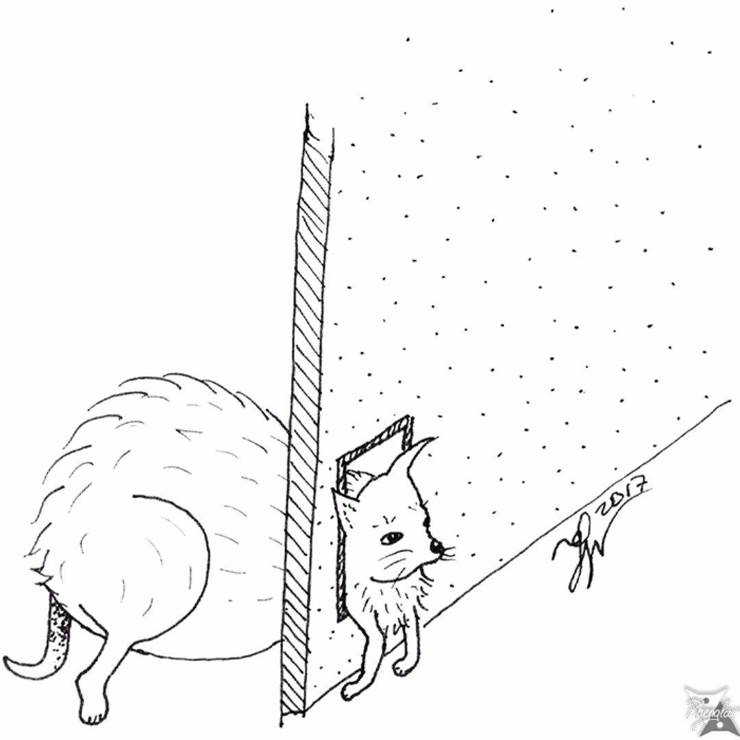 1080x1080 Inktober 16 Fat A Fatty Pet (Cat Or Chihuahua) Trying To Pass