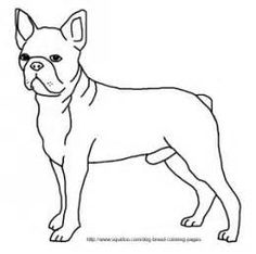 236x234 Boston Terrier Outline