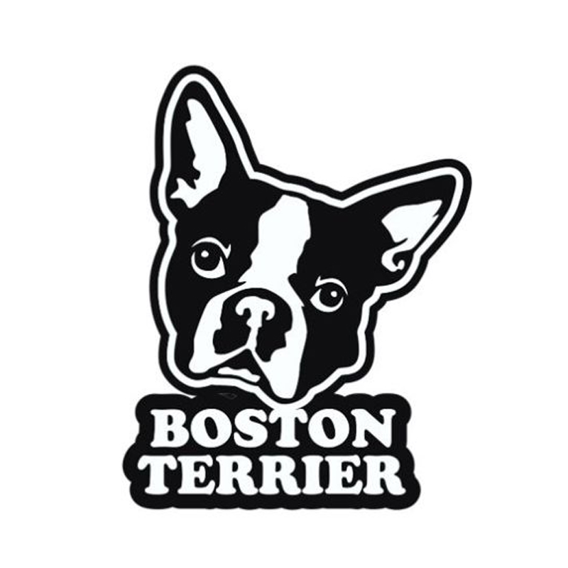 800x800 Buy Boston Terrier Car Stickers And Get Free Shipping