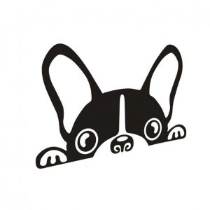 300x300 Cute Boston Terrier Car Decal Shopp For Dogs