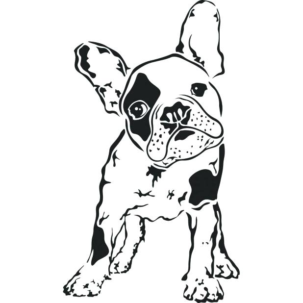 618x618 Lovely Boston Terrier Coloring Page For Bulldog 78 Free Printable