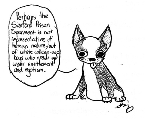 500x409 That Boston Terrier Tumblr