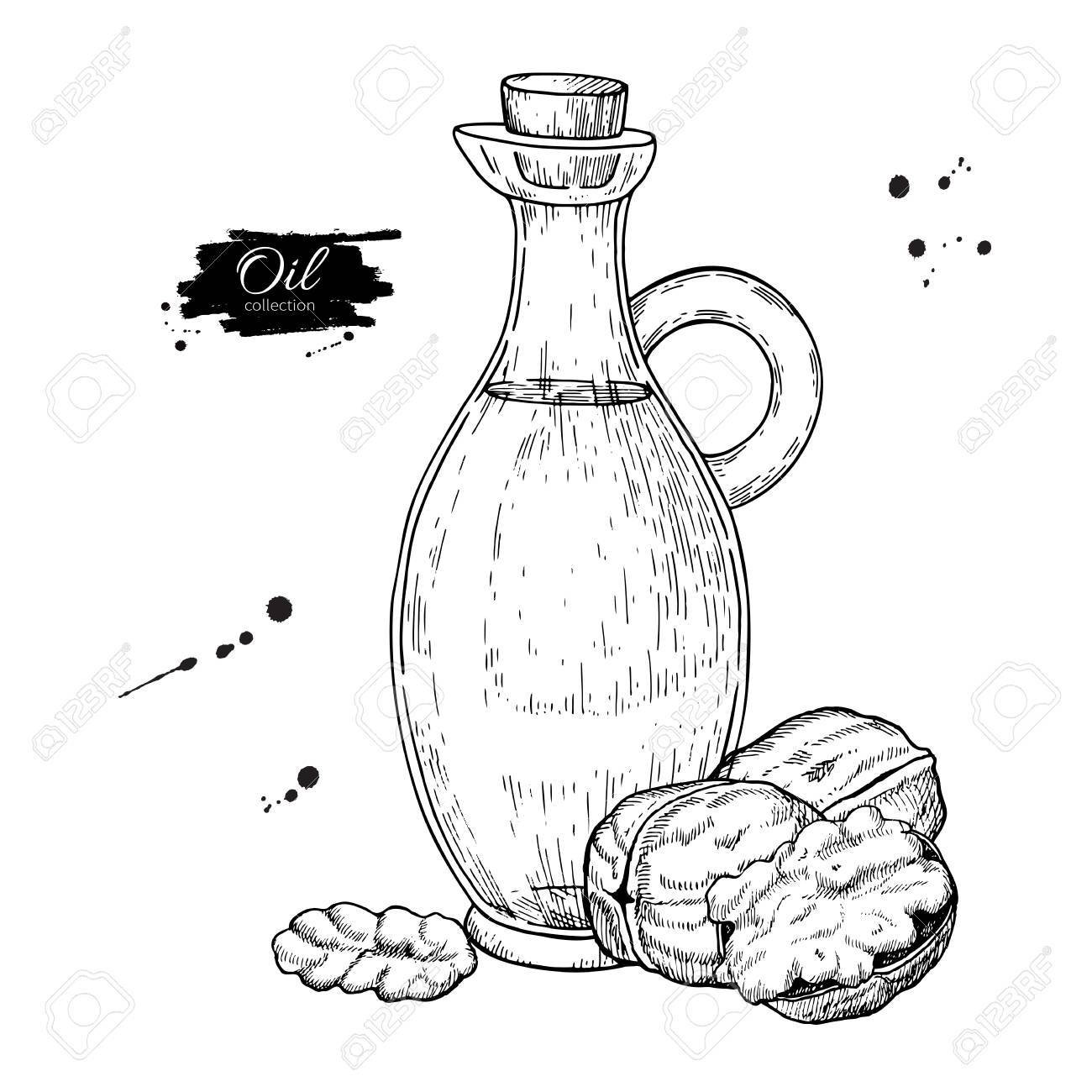 1300x1300 Bottle Of Walnut Oil, Vector Hand Drawn Illustration, Glass