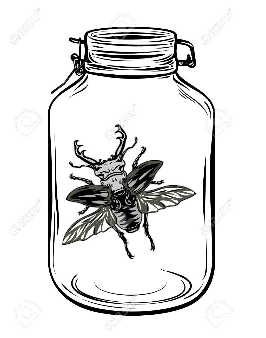 1024x1300 Beetle In A Glass Jar, Freehand Drawing Royalty Free Cliparts