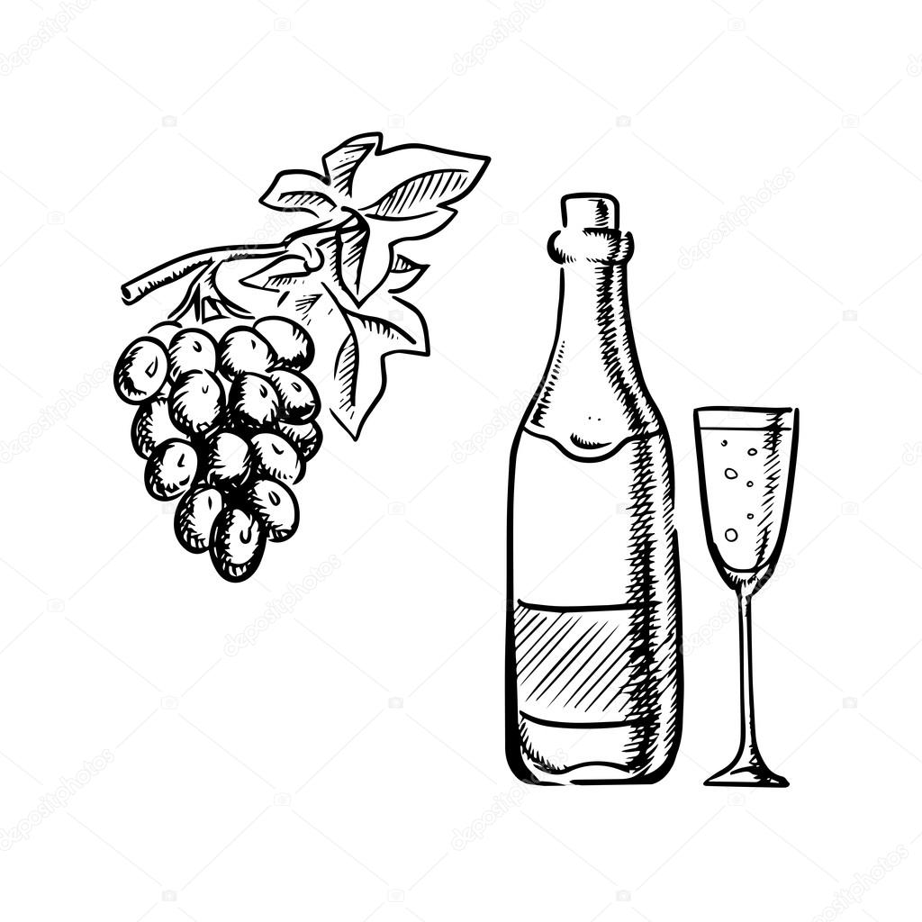 1024x1024 Wine Bottle, Glass And Grapes Sketch Stock Vector Seamartini