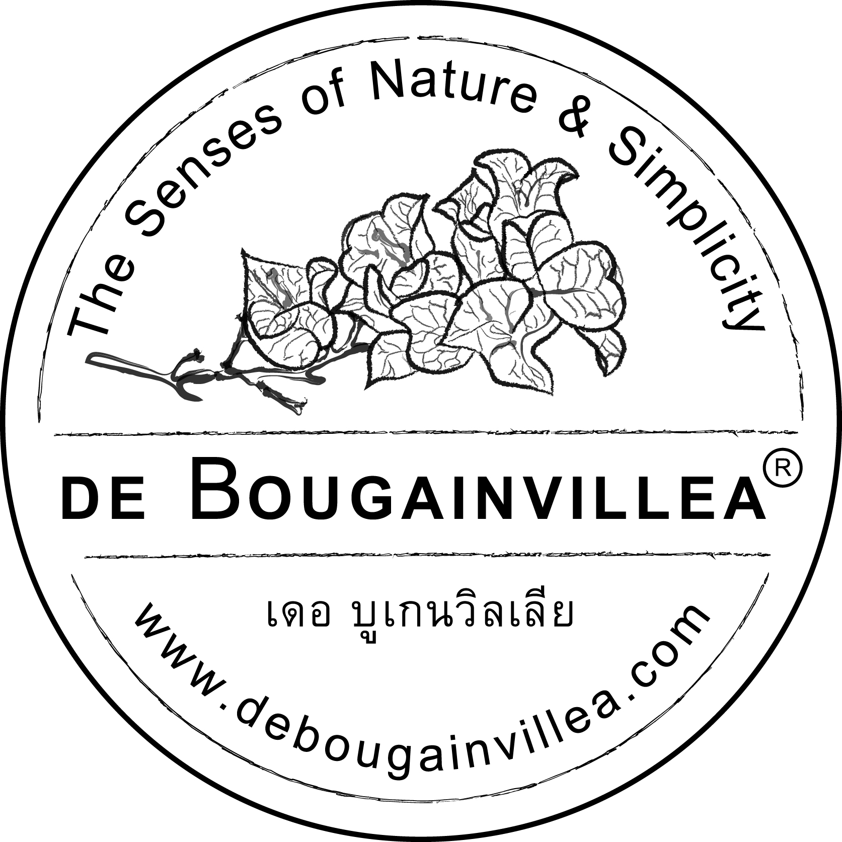 1673x1673 Debougainvillea.jpg