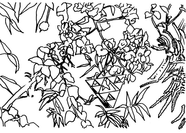 648x461 Stage 2 Sierpinski Tetrahedron Hanging From Bougainvillea Branches