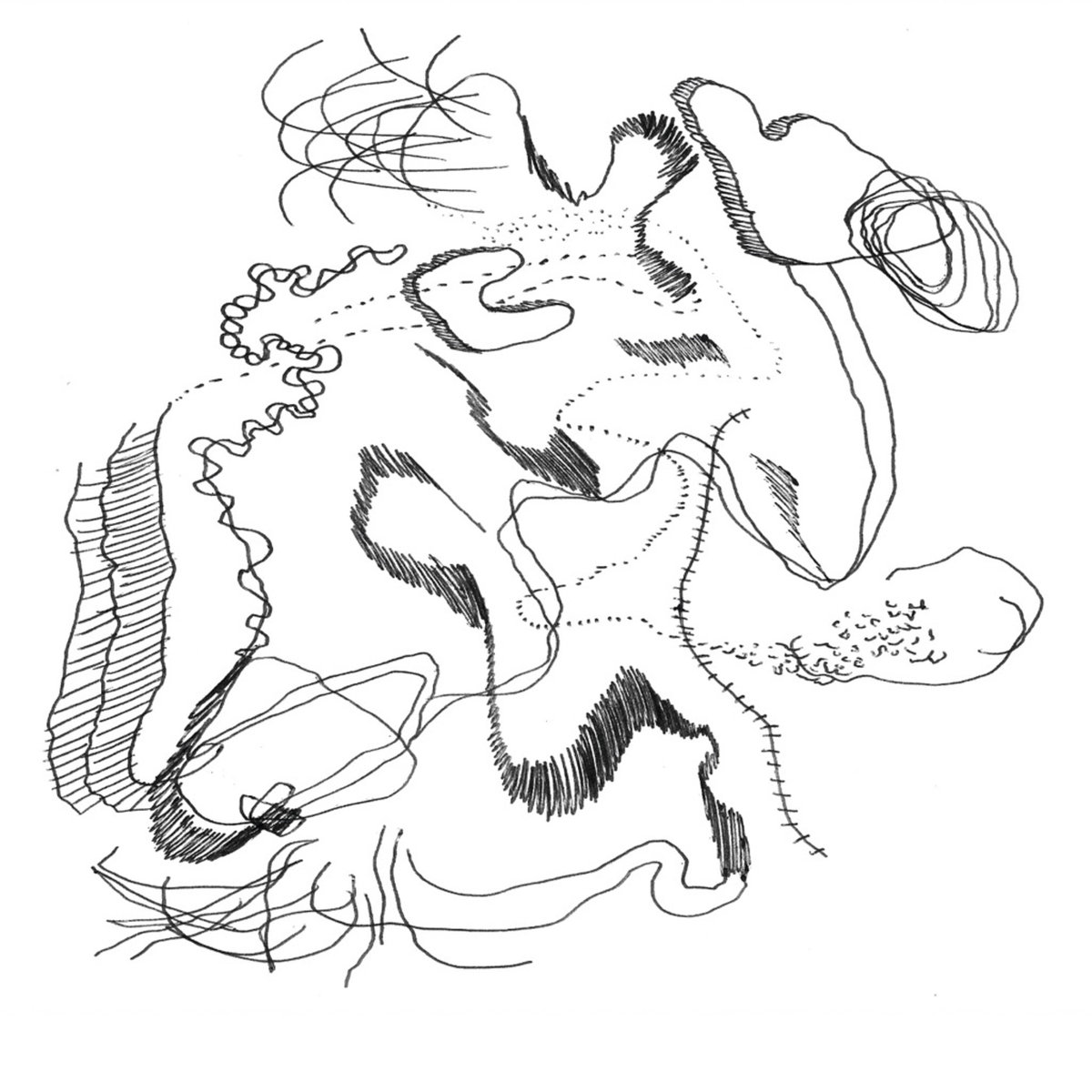 1200x1200 Boulder, Colorado Greef