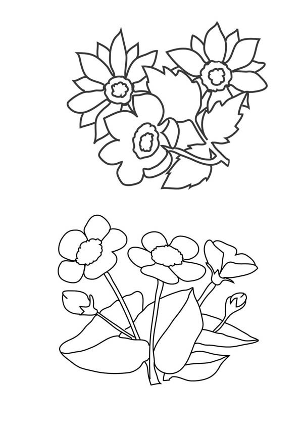600x849 Flower Arrangements Drawing