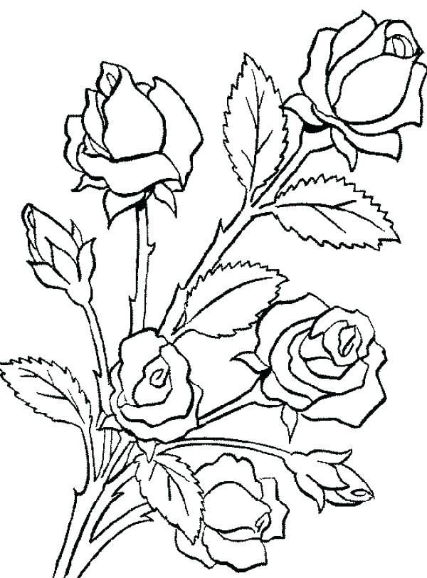 600x812 Roses Coloring Pages Valentine Heart Of Roses Bouquet Line Art