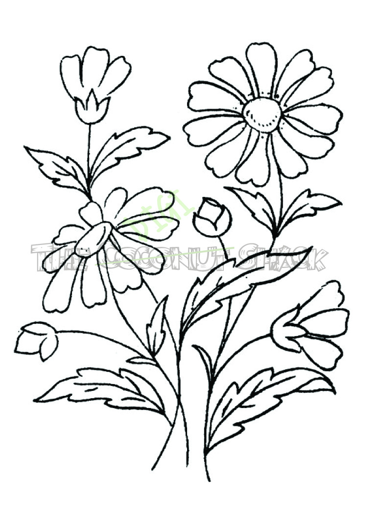 774x1035 Drawing Of Bunch Of Flowers