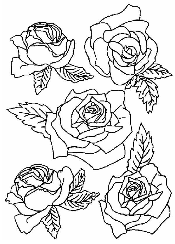 600x837 Picture Of Roses For Flower Bouquet Coloring Page Color Luna