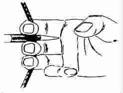 247x187 The Beginning Bowhunter