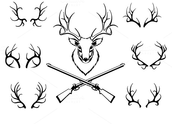580x419 Set Of Antlers With Trophy And Guns Antlers And Guns