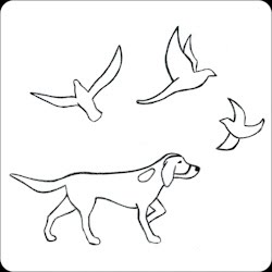 250x250 Custom Orders