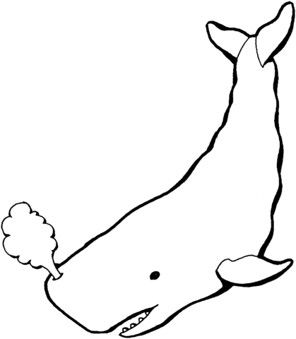 419x480 Sperm Whale Coloring Page Free Printable Coloring Pages