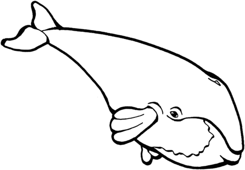 480x333 Whale Coloring Page Free Printable Coloring Pages