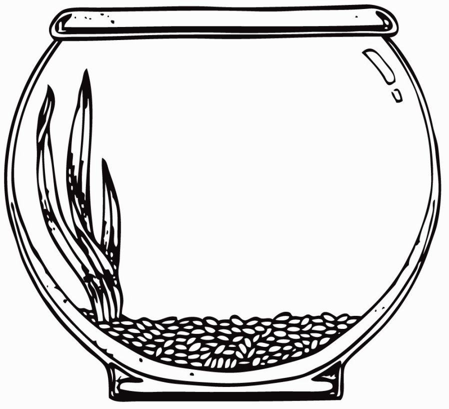 898x817 Complete Fish Bowl Coloring Page Tank Clipart Pencil And In Color
