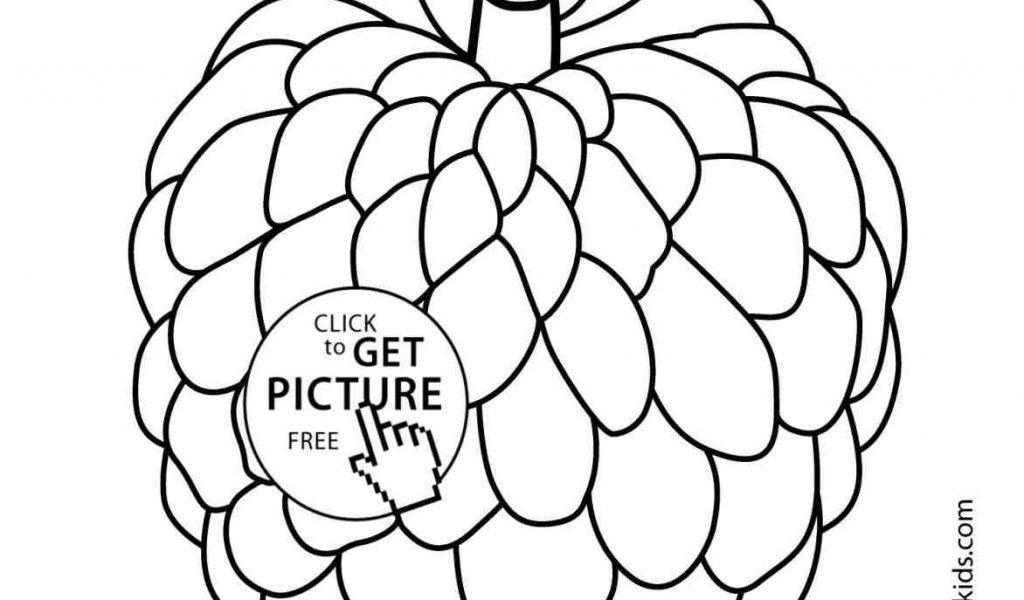 1024x600 The Images Collection Of Page Of Fruit Bowl Pages Orange Orange