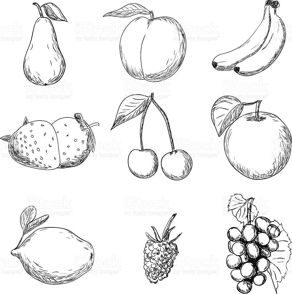 1016x1024 Drawing Images Of Fruits Fruits Drawing Images Fruit Bowl