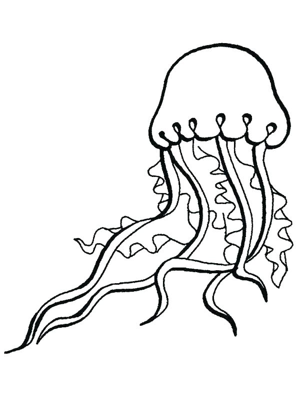 600x800 Jellyfish Coloring Page Coloring Trend Thumbnail Size Jellyfish
