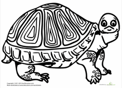 250x180 Turtle Coloring Pages Amp Printables