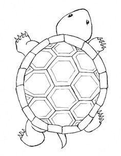 236x304 Coloring Pages Simple Turtle Drawings Coloring Pages Simple