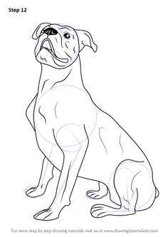 236x333 Gallery For Gt Boxer Dog Head Drawing Sketchy Dog