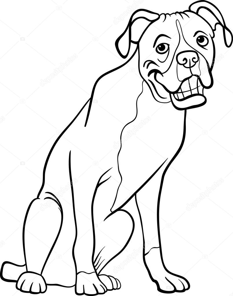 805x1024 Boxer Dog Cartoon For Coloring Book Stock Vector Izakowski