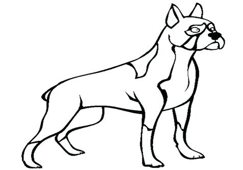 Boxer Dog Line Drawing at GetDrawings | Free download