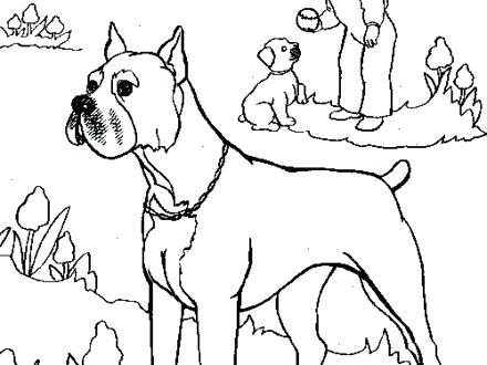 440x330 Boxer Dog Coloring Pages Zoom Puppy Printable Coloring Pages Boxer