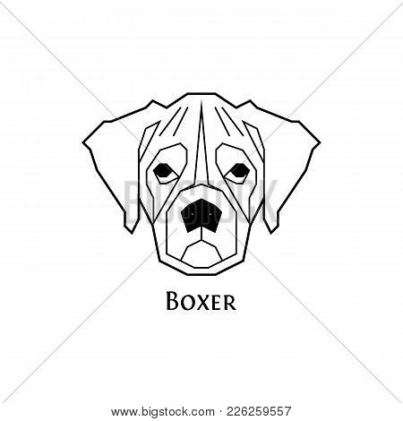 450x470 Boxer Dog Images, Illustrations, Vectors