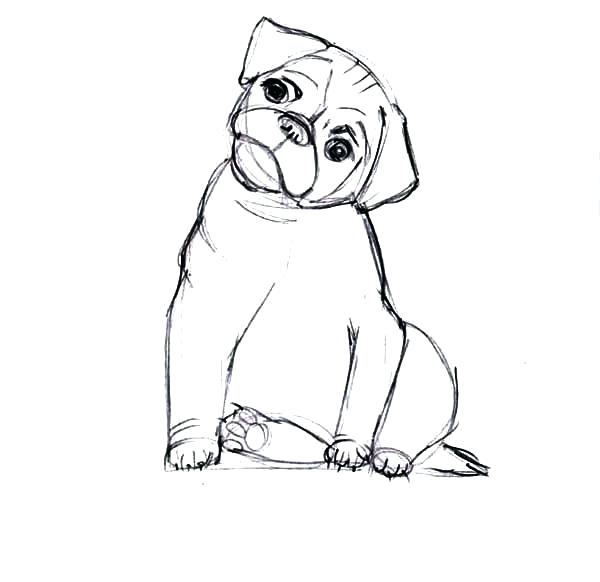 Boxer Dog Line Drawing at GetDrawings | Free download