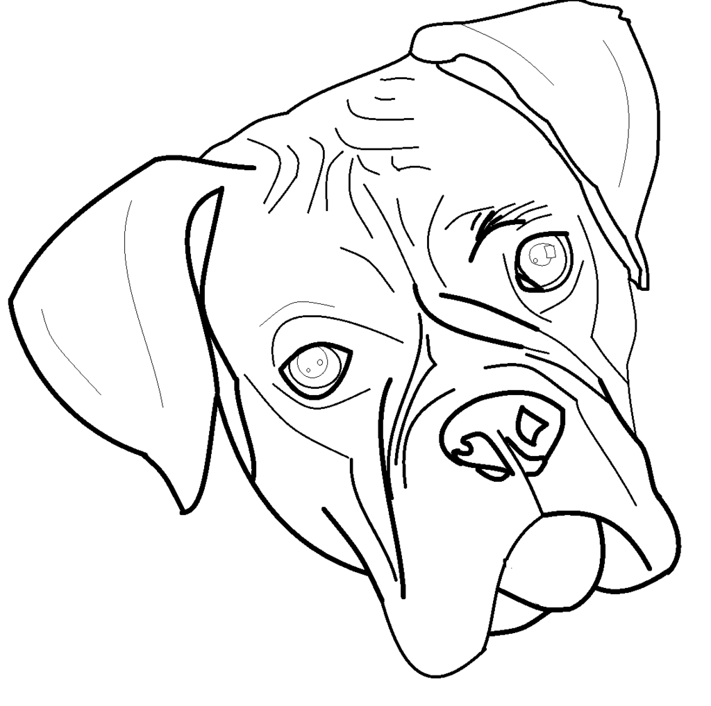 Boxer Dog Coloring Pages Puppy Printable Drawing Line Dogs Print Chien ...