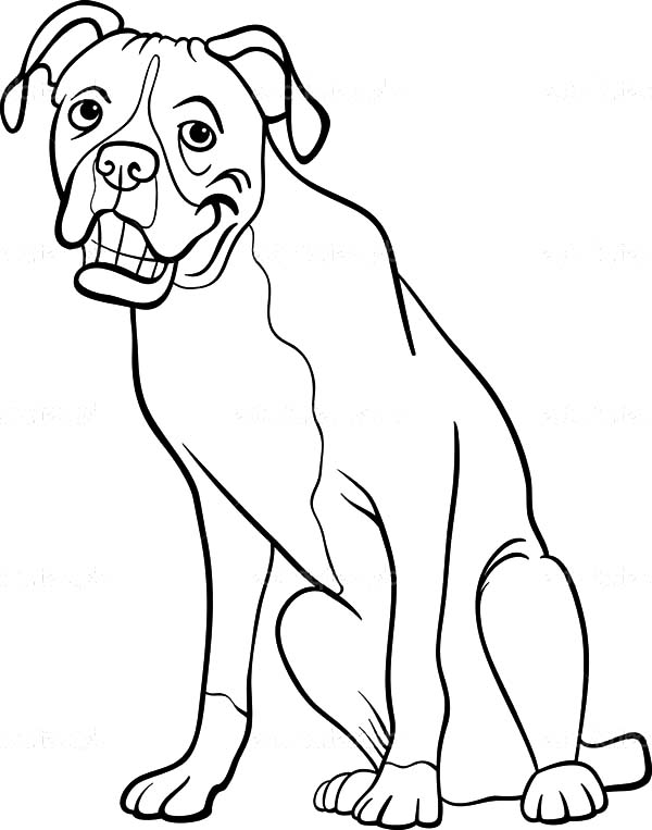 Boxer Dog Line Drawing at Free for