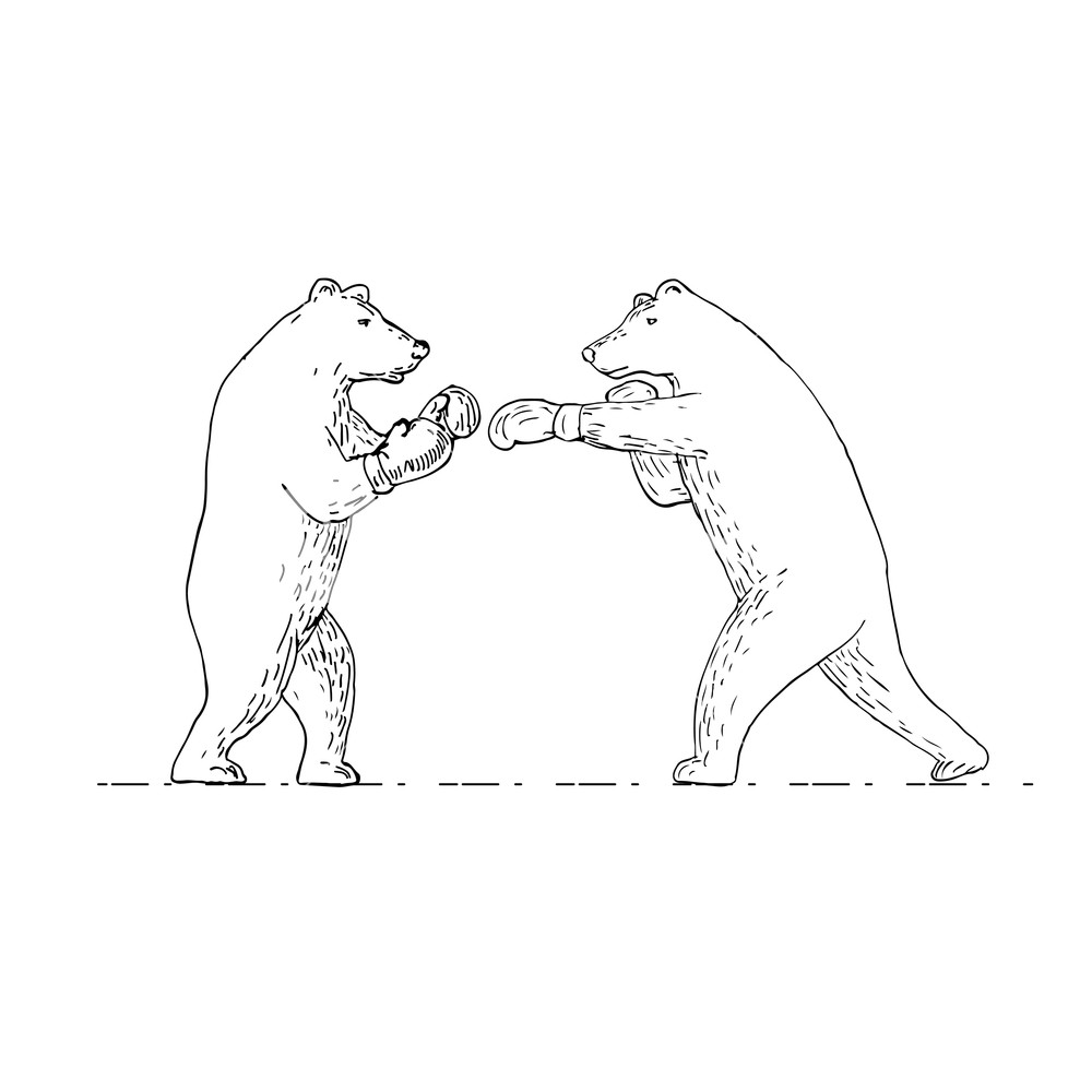 1000x1000 Drawing Sketch Style Illustration Of Two Grizzly Bear Boxer Boxing