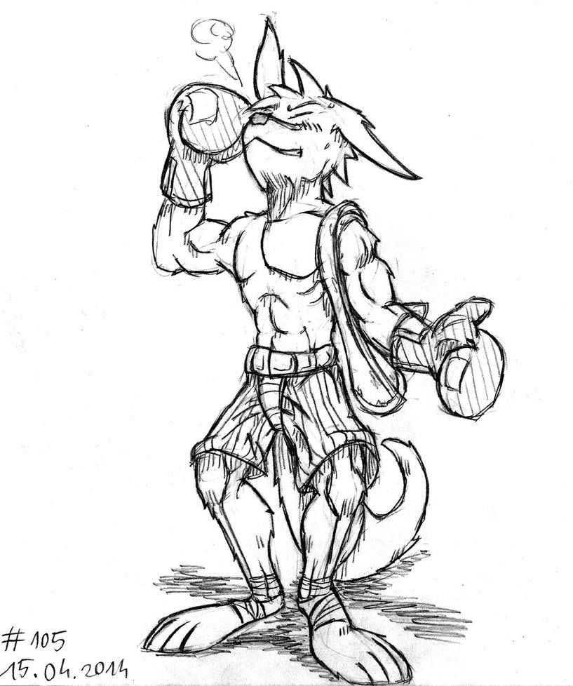 817x978 Kangaroo Boxer (Thing A Day 2014