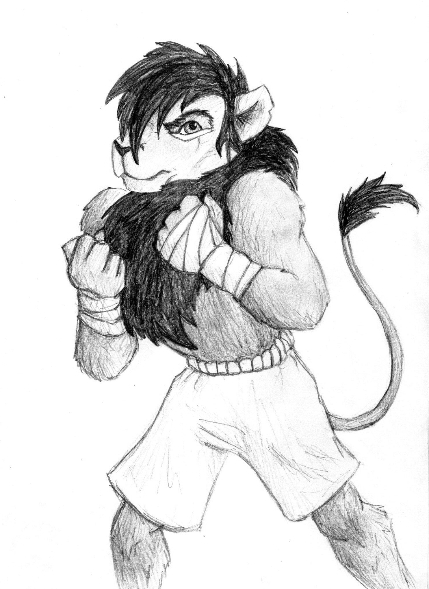 1485x2036 Lion Boxer Melissa Beth Rose