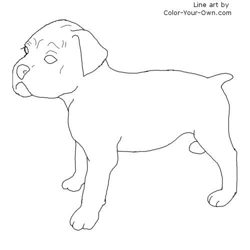 500x500 Boxer Puppy Line Art Xxlineartxx Dog Pattern