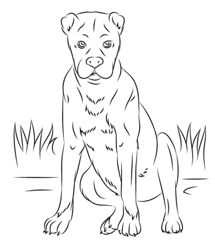419x480 Boxer Dog Coloring Page Free Printable Coloring Pages