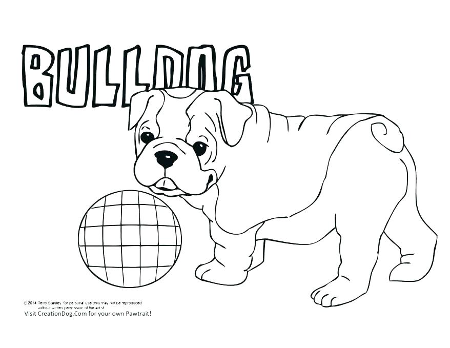 Boxer Puppy Drawing at GetDrawings.com | Free for personal use Boxer