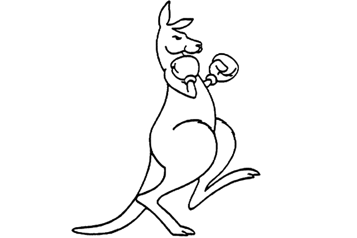 720x480 Afewee Boxing And Football Club Brixton Kangaroo With Boxing