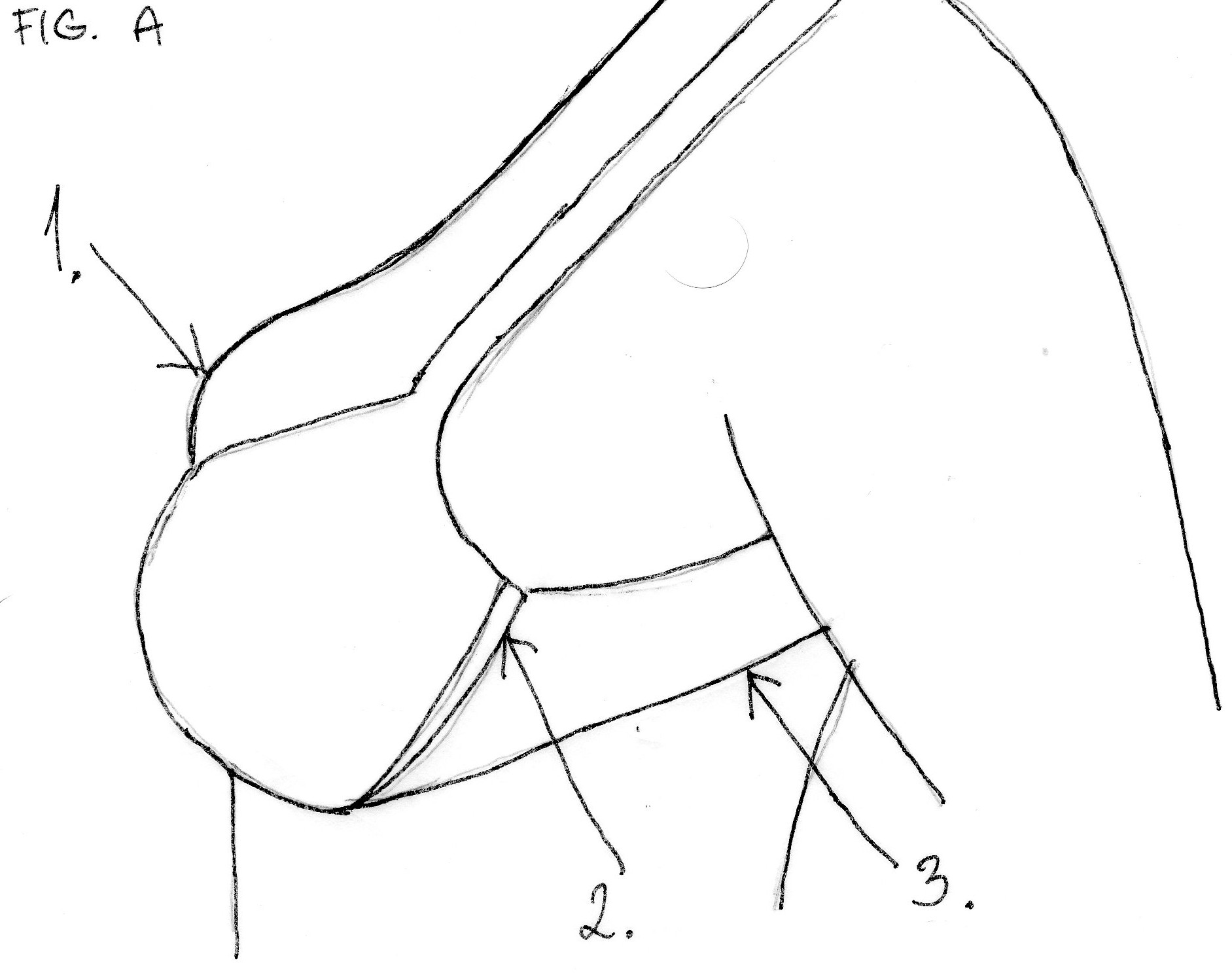 1883x1487 The Most Common Mistakes In Choosing A Bra Bra Fitting Cidade