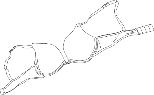 528x324 Breasts, Bras And Biomechanics How To Find And Fit A Great