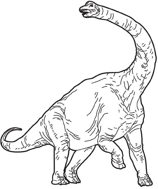 540x647 Brachiosaurus Coloring Pages